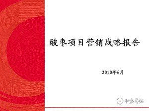 酸枣营销战略123.ppt