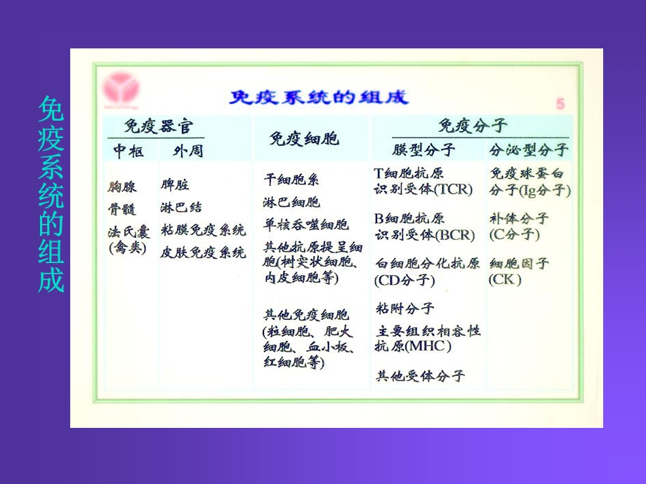 影响免疫功能的药物.ppt_第2页