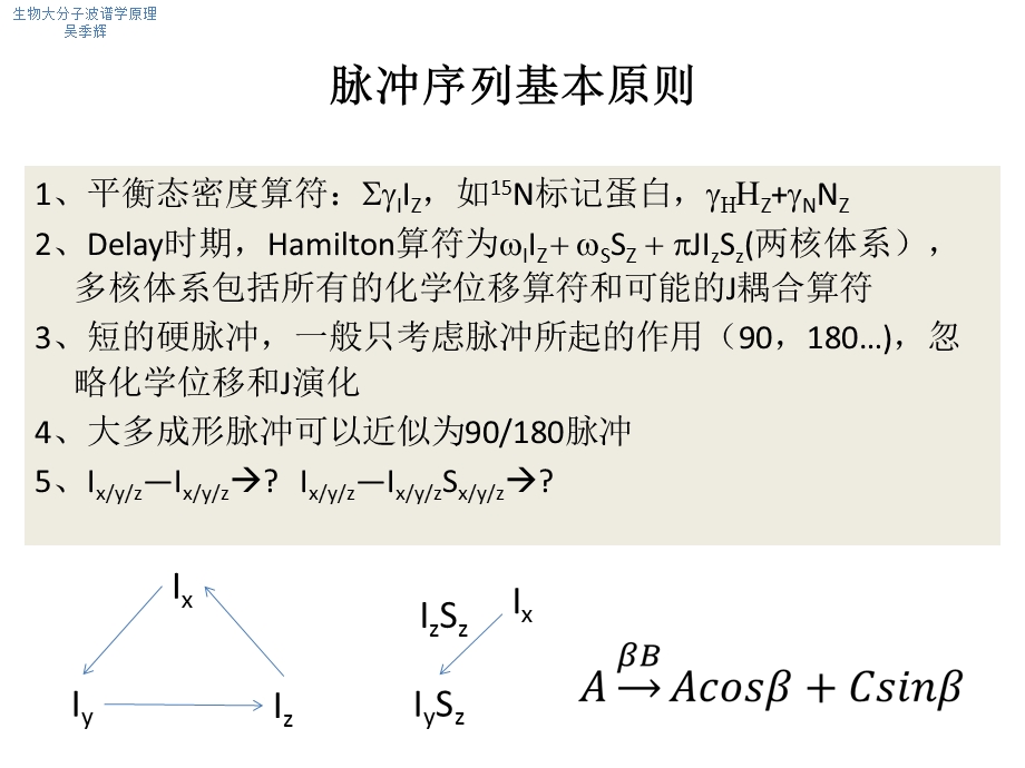 蛋白质核磁脉冲序列分析.ppt_第2页