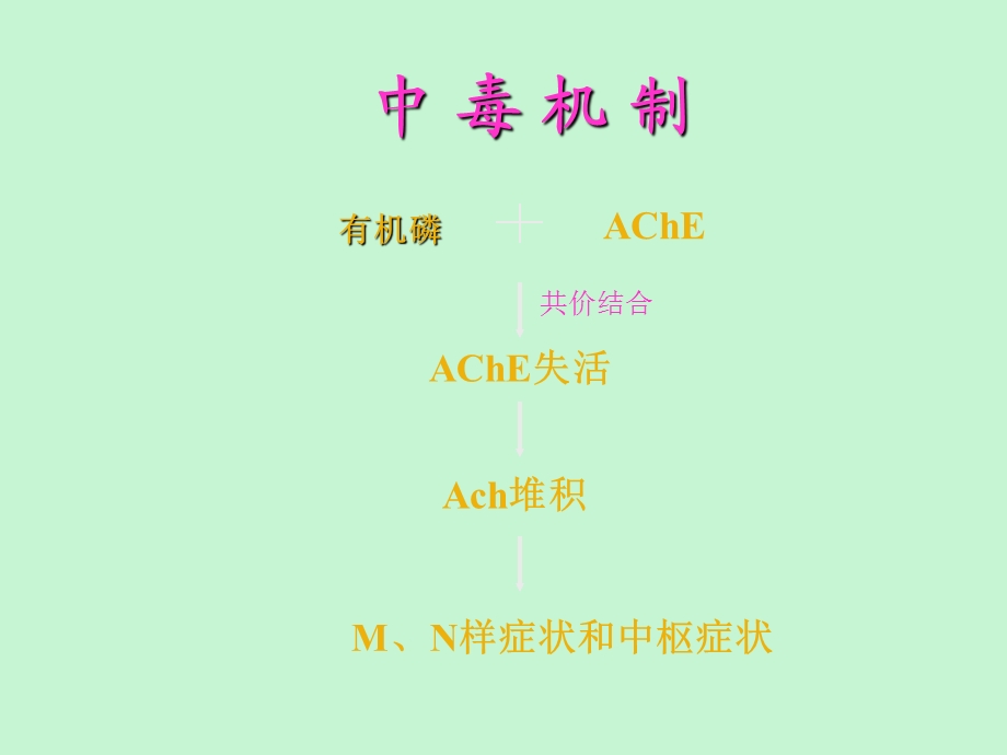 有机磷中毒与解救实验.ppt_第3页