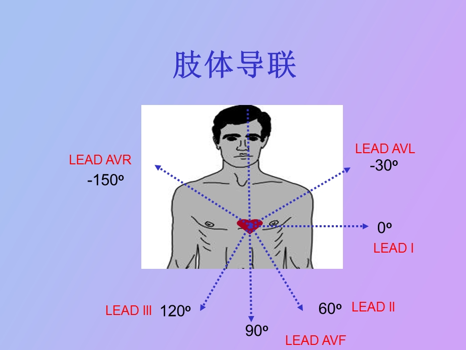 心电图规培生.ppt_第2页