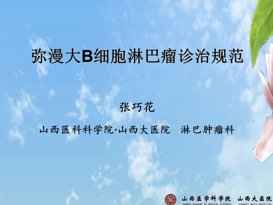 弥漫大B细胞淋巴瘤规范化治疗.ppt_第1页