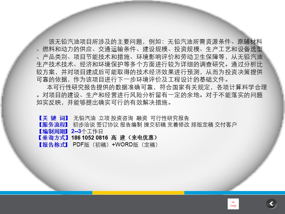 无铅汽油项目可行研究报告.ppt_第2页