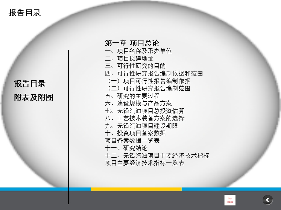 无铅汽油项目可行研究报告.ppt_第3页