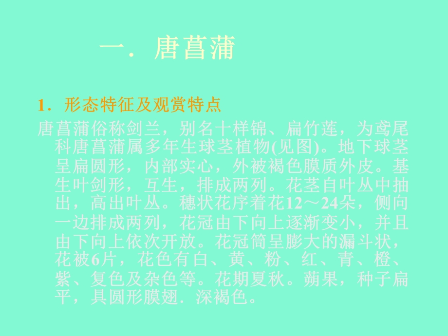 无土栽培课件第七章.ppt_第2页