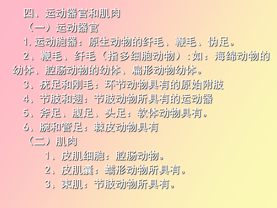 无脊椎动物小结.ppt_第3页