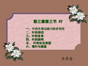 植物学第三章第三节叶.ppt