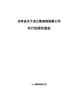 吉林省关于成立数据链接器公司可行性研究报告.docx