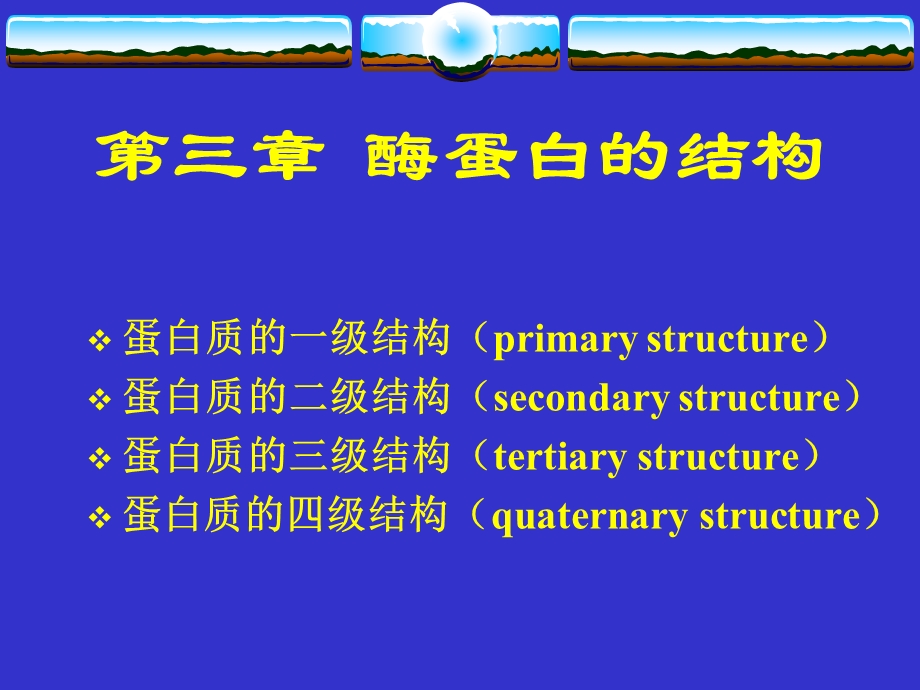 酶蛋白的结构.ppt_第1页