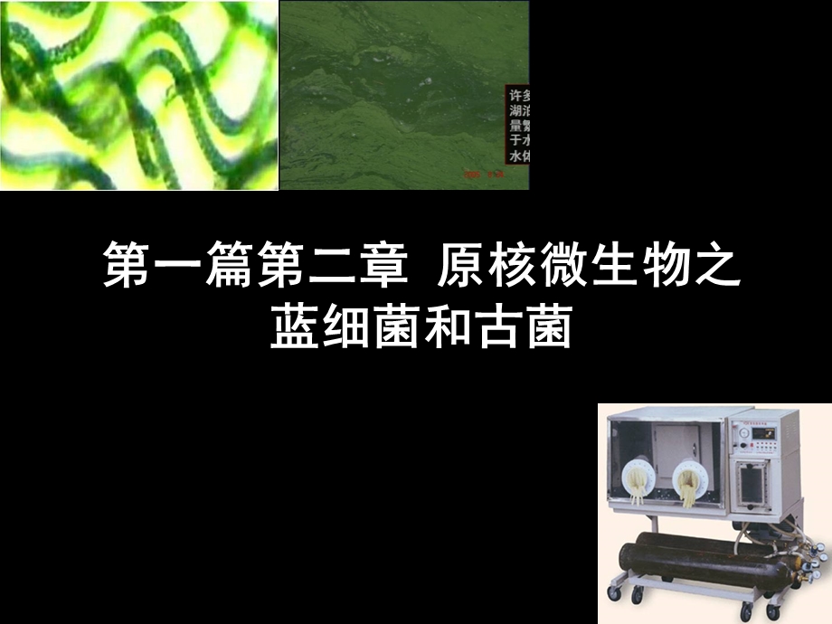 核微生物之蓝细菌和古菌.ppt_第1页