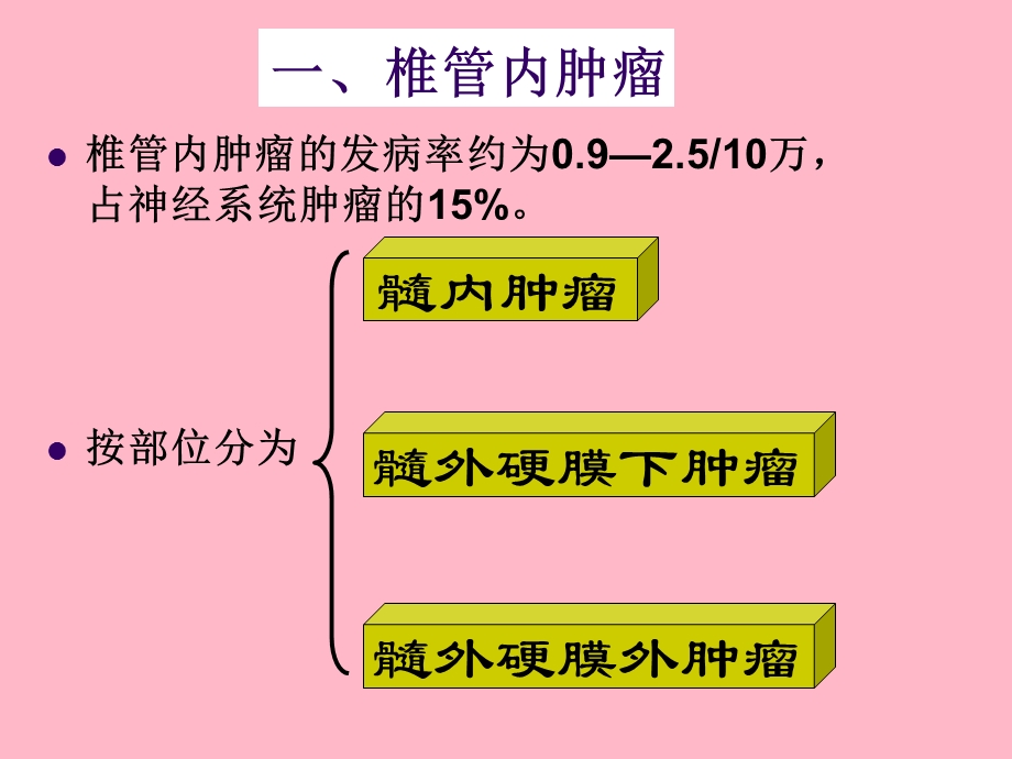 椎管肿瘤、脊柱损伤、血管畸形.ppt_第2页