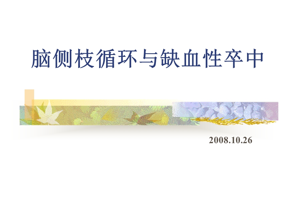 脑缺血侧枝循环治疗(公司).ppt_第1页