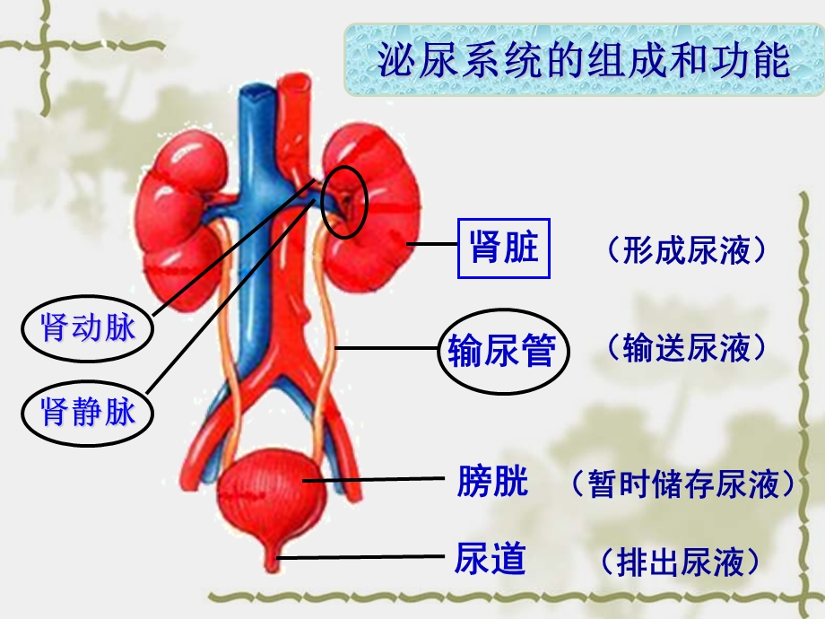 张家口市第十九中学刘志娟.ppt_第2页