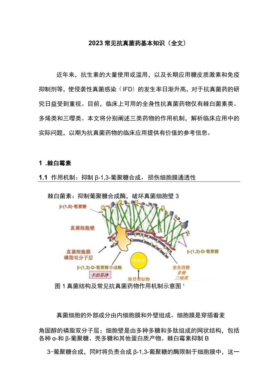 2023常见抗真菌药基本知识（全文）.docx_第1页