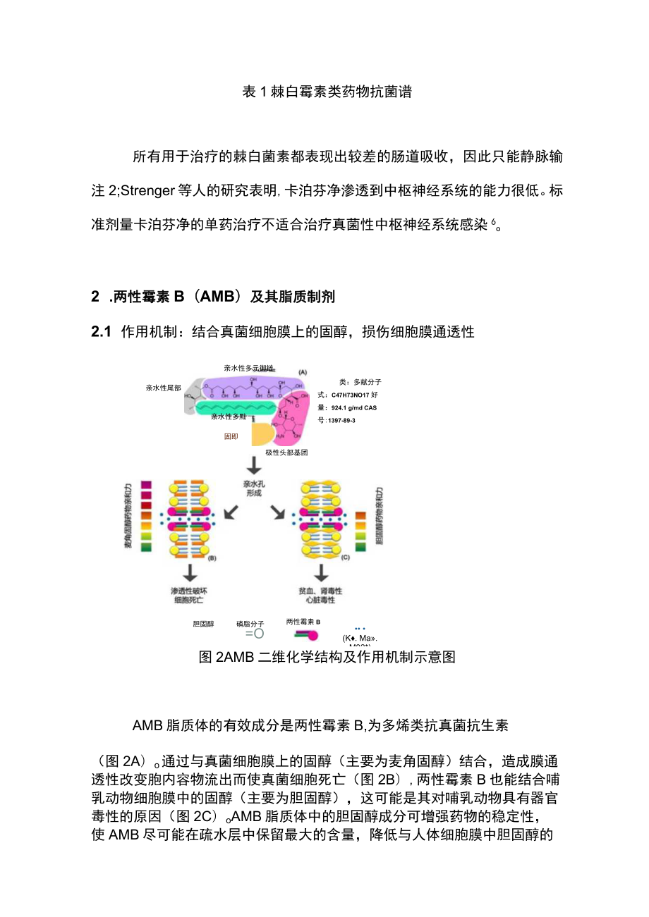 2023常见抗真菌药基本知识（全文）.docx_第3页