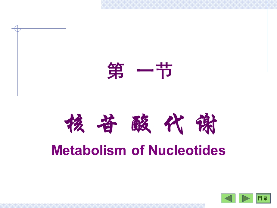 核苷酸及遗传信息的储存.ppt_第1页