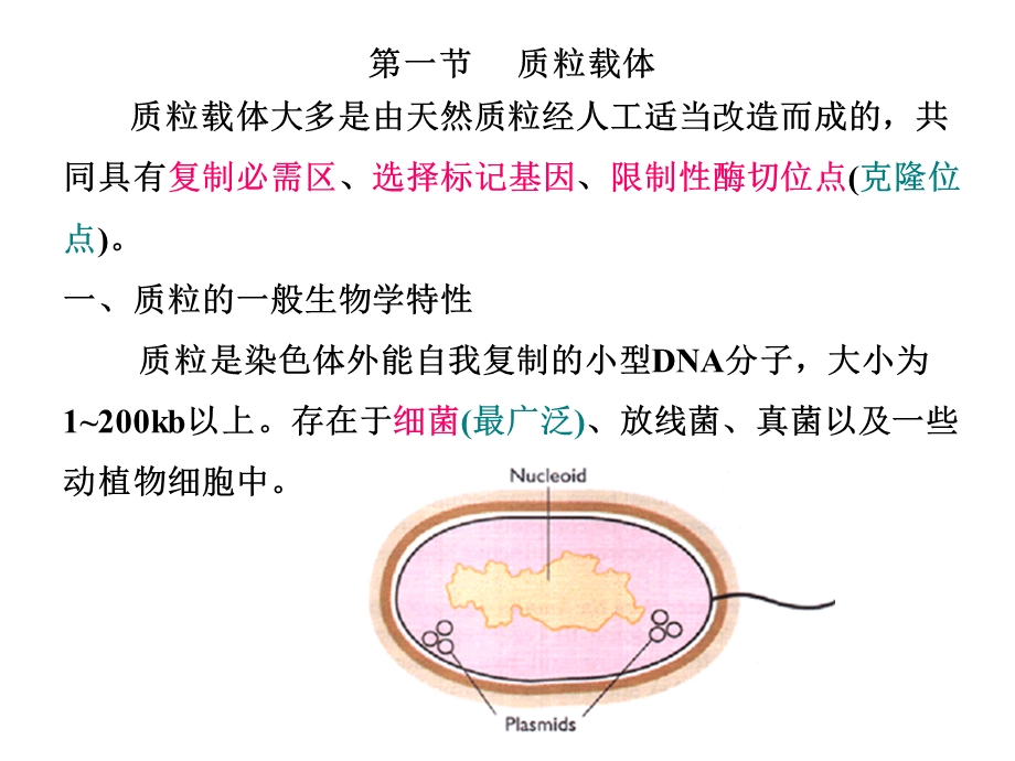 基因工程原理与技术.ppt_第2页