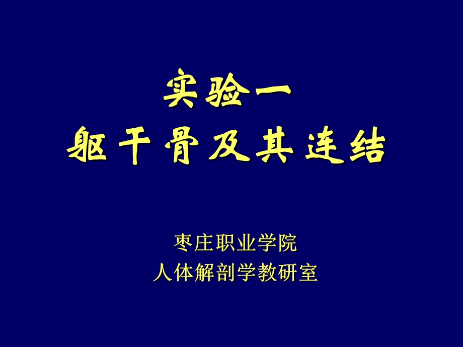 躯干骨及其连结.ppt_第3页