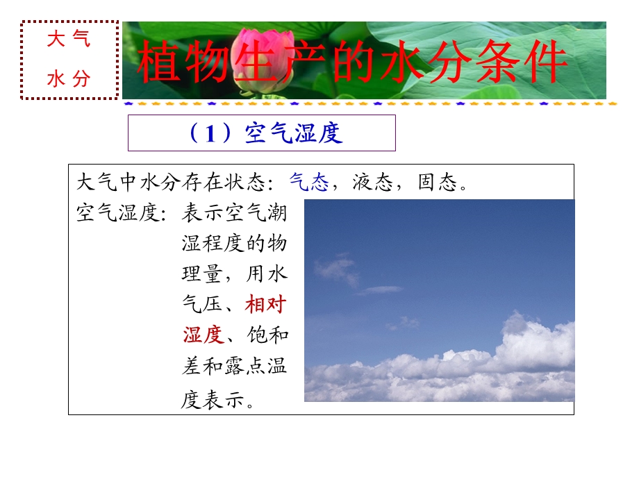 植物生产与科学用水.ppt_第3页