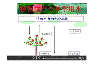 植物生产与科学用水.ppt