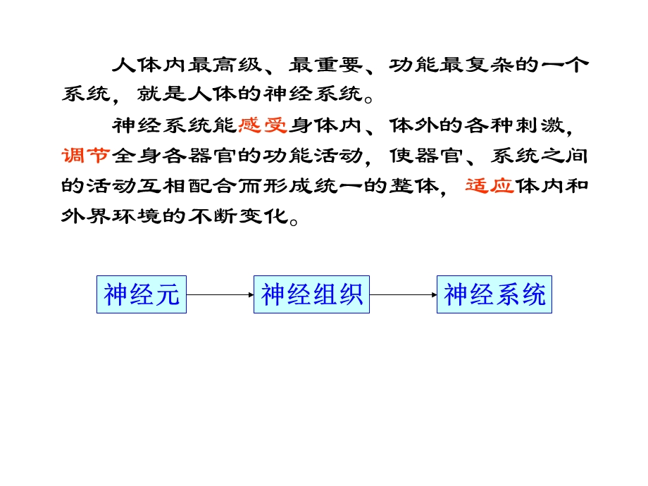 神经系统激素调节.ppt_第2页