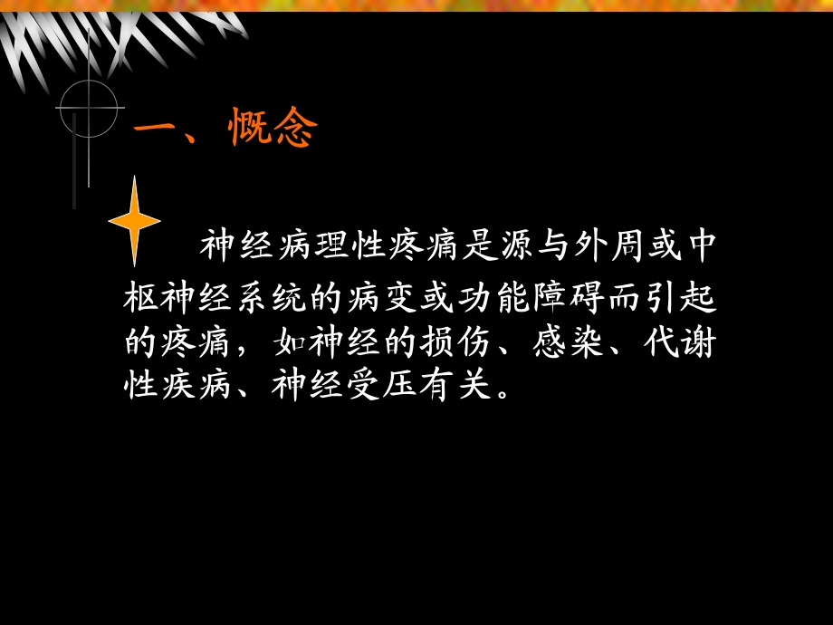 神经病理性疼痛.ppt_第2页