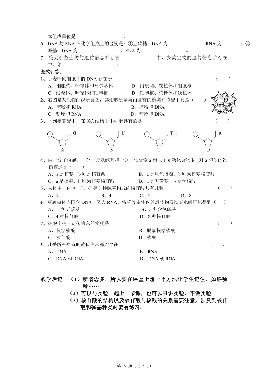 2.3遗传信息的携带者—核酸教学设计孔庆敏.doc_第3页