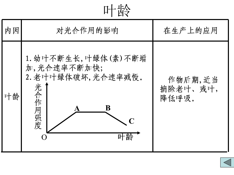 影响光合作用的因素课件.ppt_第2页