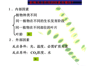 影响光合作用的因素课件.ppt