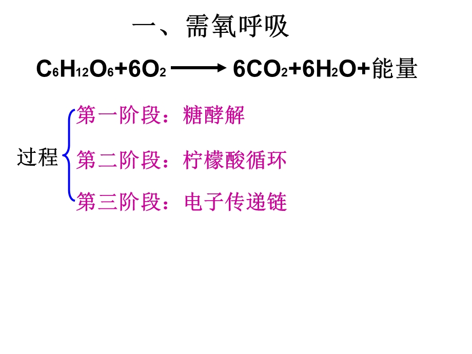 细胞呼吸ppt课件.ppt_第3页