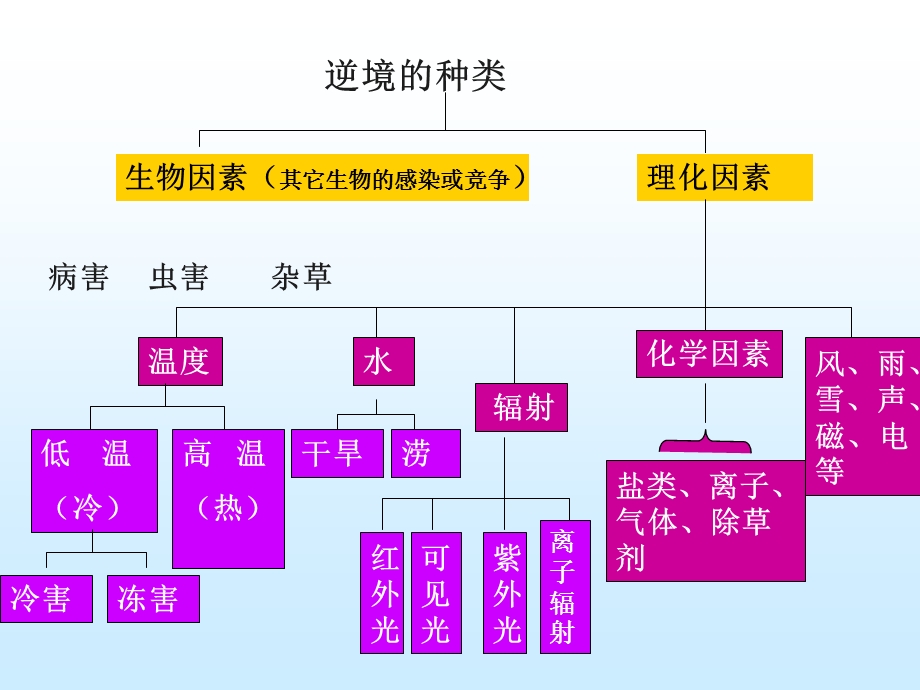 植物生理学-第十二章.ppt_第2页