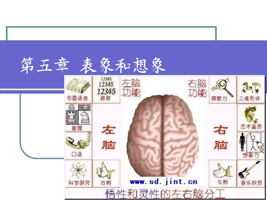 心理学概论第5章表象和想象.ppt_第1页