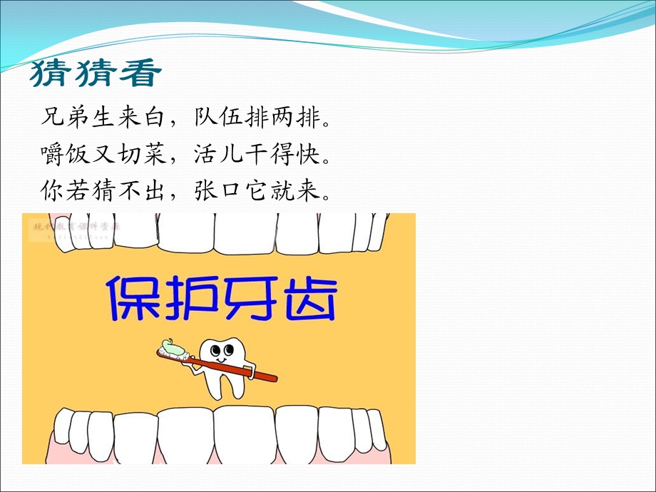 幼儿园健康课-保护牙齿.ppt_第2页