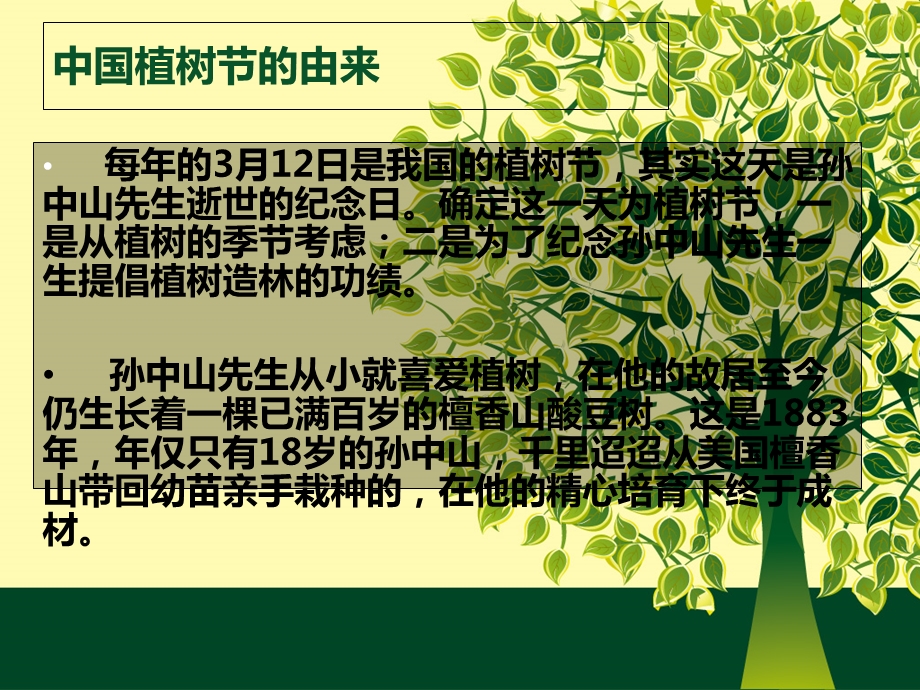 植树节主题班会.ppt_第2页