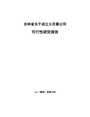 吉林省关于成立火花塞公司可行性研究报告.docx