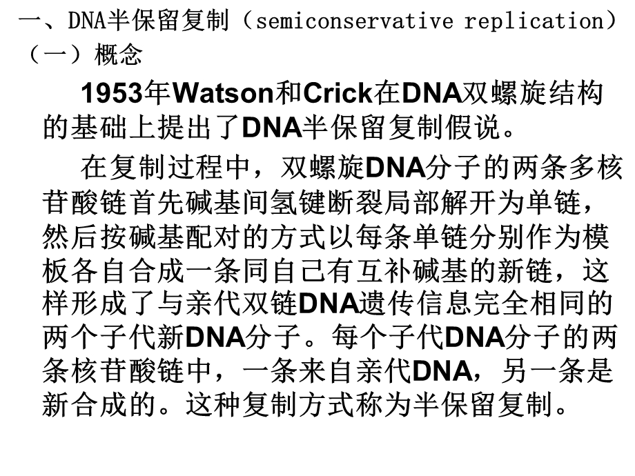 核酸的生物合成.ppt_第3页