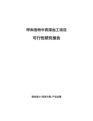 呼和浩特中药深加工项目可行性研究报告.docx