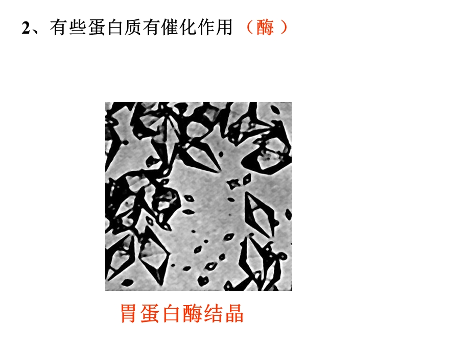 有机化合物及生物大分子-蛋白质.ppt_第3页