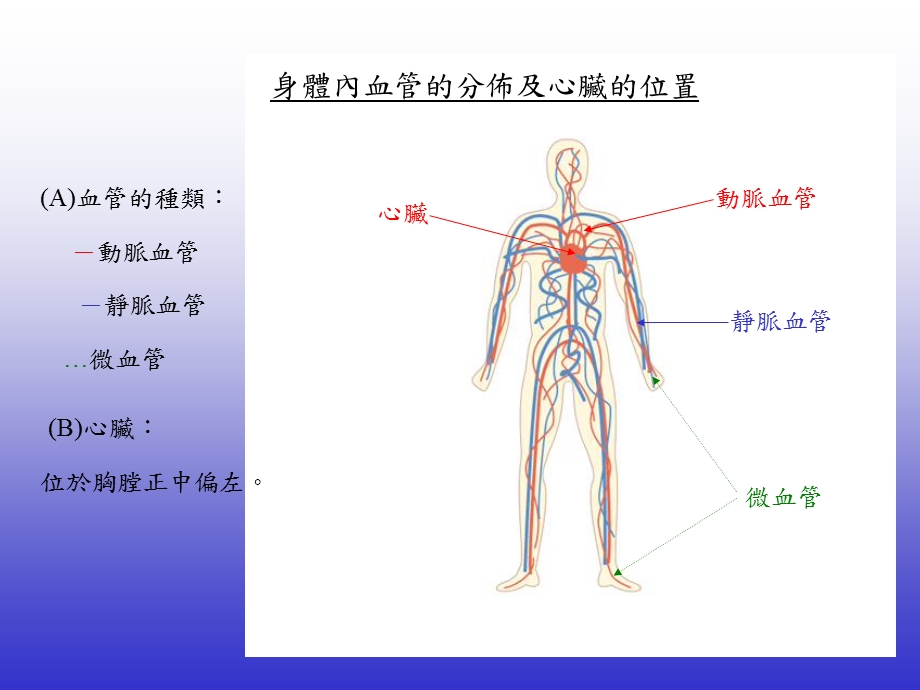 心脏的构造心脏和血管的功能.ppt_第2页