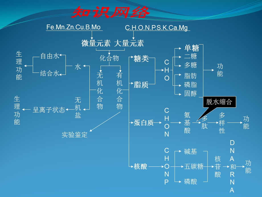 细胞膜系统的边界 修改好.ppt_第2页