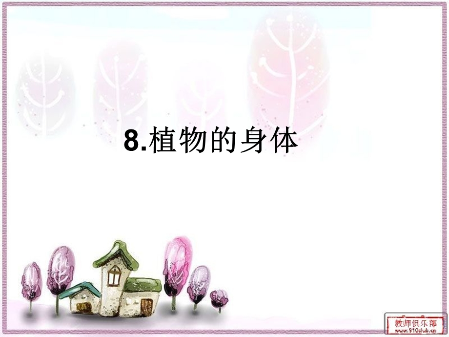 植物的身体课件.ppt_第1页