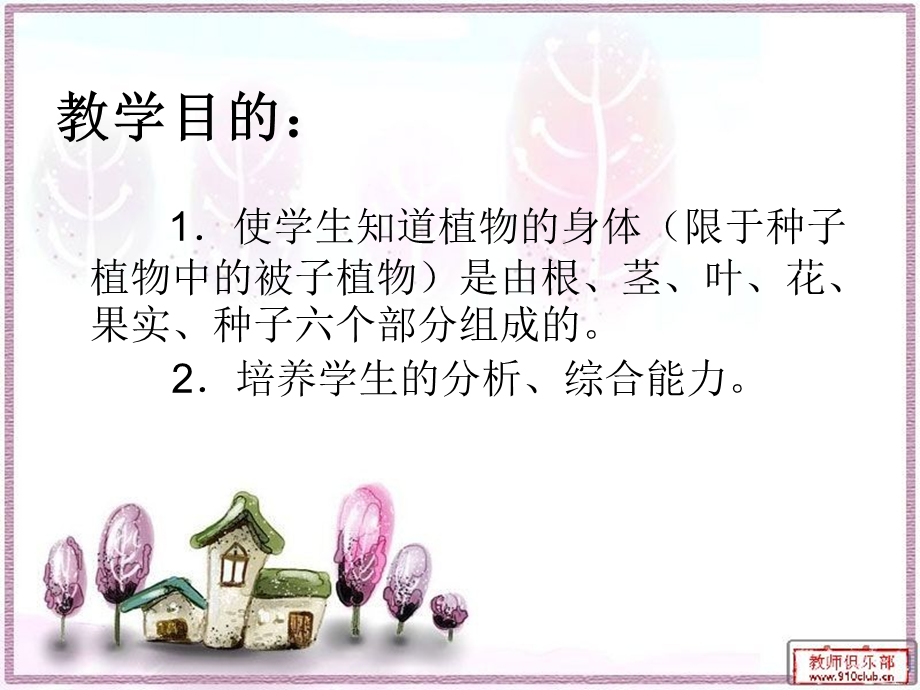 植物的身体课件.ppt_第2页