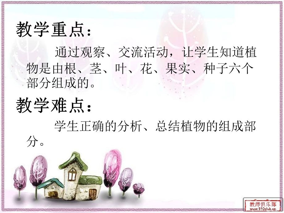 植物的身体课件.ppt_第3页