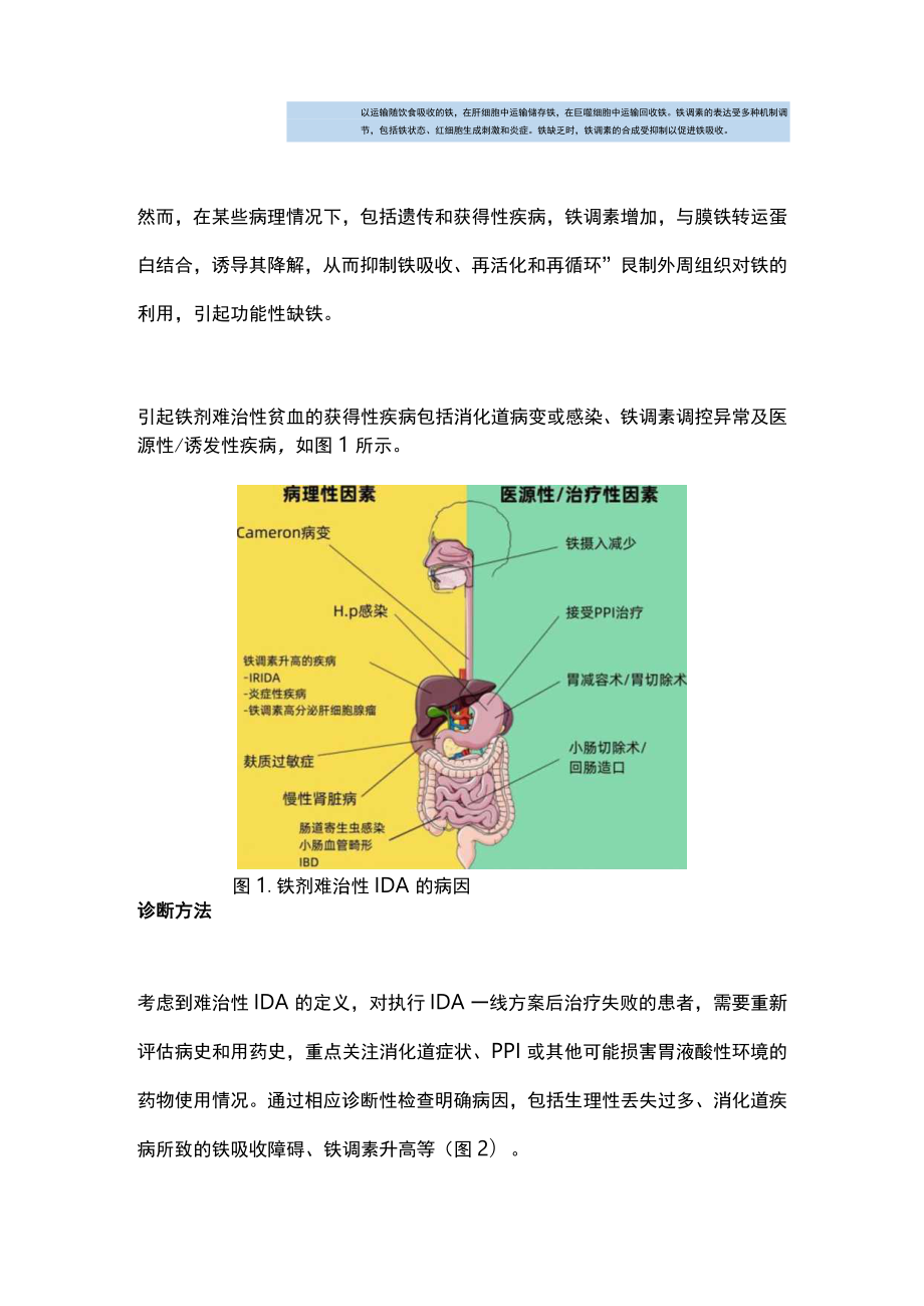 2023获得性缺铁性贫血的病因和诊治路径（完整版）.docx_第2页