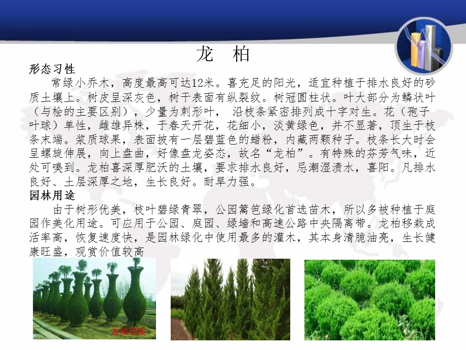 排污车间植物配置物种的选择.ppt_第3页