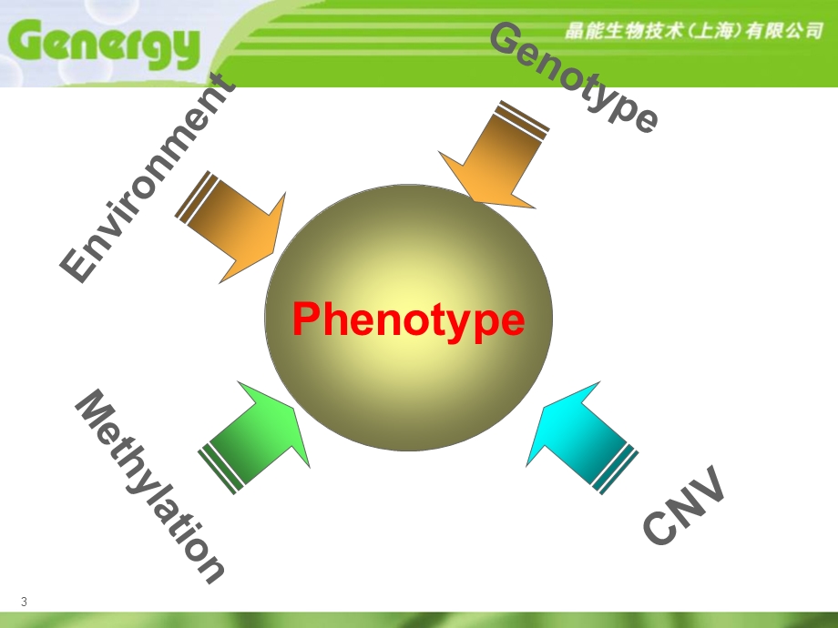 连锁关联分析在疾病研究中的探讨.ppt_第3页