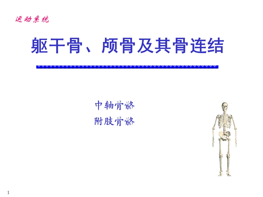 颅骨躯干骨及其连结.ppt_第1页