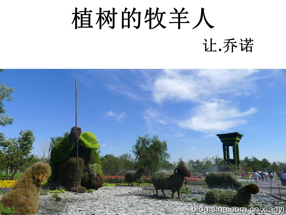 植树的牧羊人课件.ppt_第1页