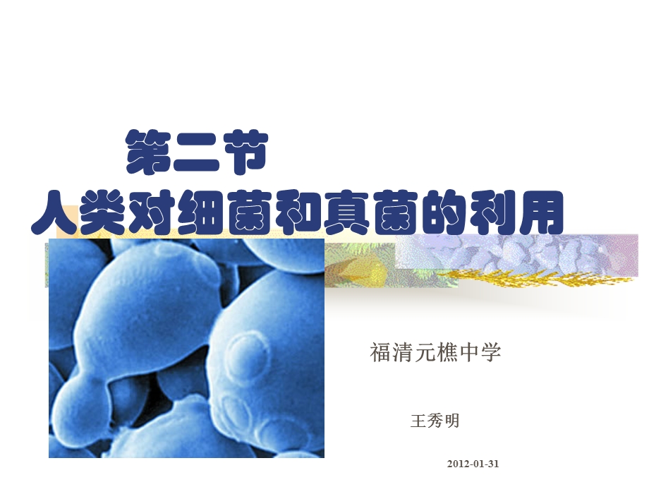 课件第二部分人类对细菌和真菌的利用.ppt_第2页