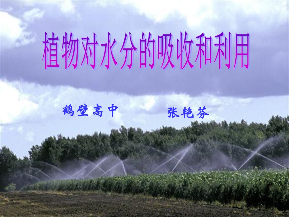 植物对水分的吸收和利用.ppt_第2页